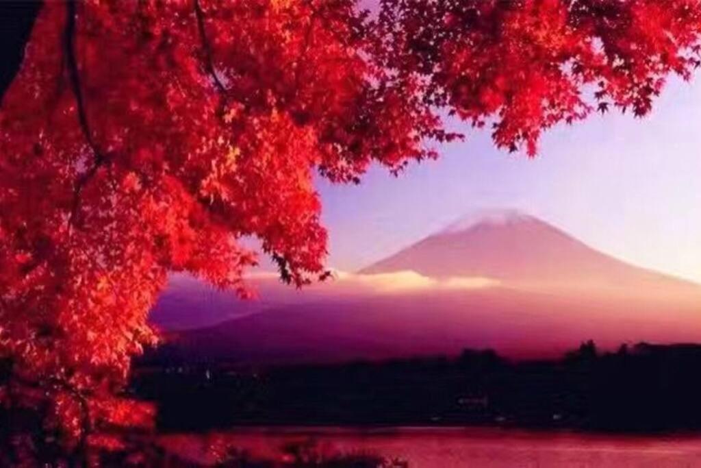 Villa Away From Noise,View Fuji Mt In The Designer House Yamanakako Exterior foto